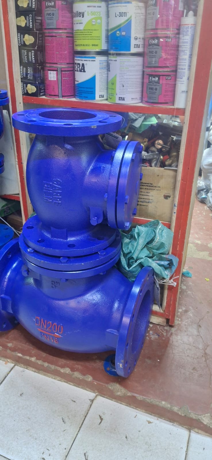 Dn200 8inch non return valve carpe diem