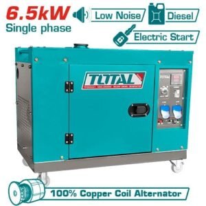 Diesel silent generator TP265001