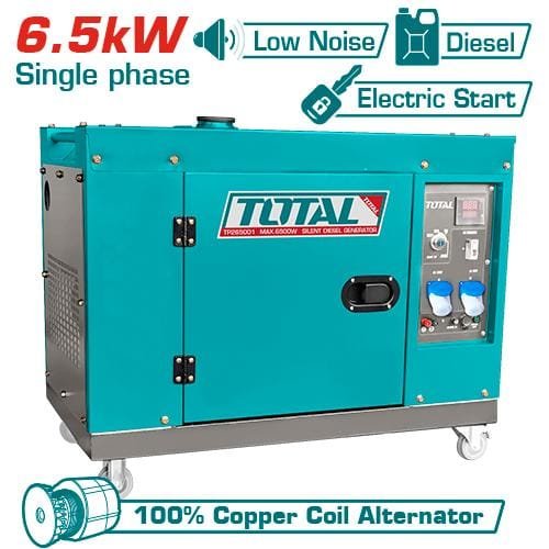 Diesel silent generator TP265001