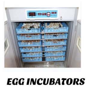 Egg incubator 528eggs with automatic roller ac dc